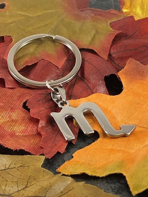 30% OFF Silver Scorpio Zodiac Keychain: Birthday Gift + Organza Bag