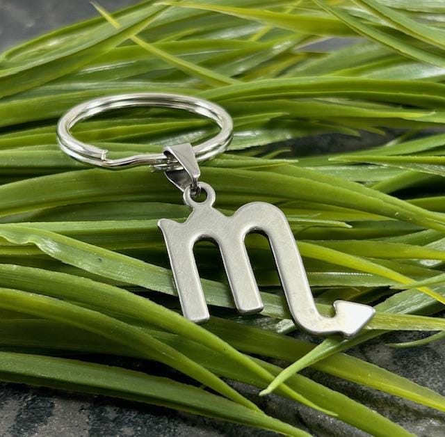 30% OFF Silver Scorpio Zodiac Keychain: Birthday Gift + Organza Bag